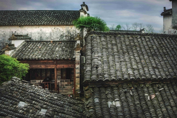 法律科普 | 征收中，无证房屋被认定为违建，怎么救济？
